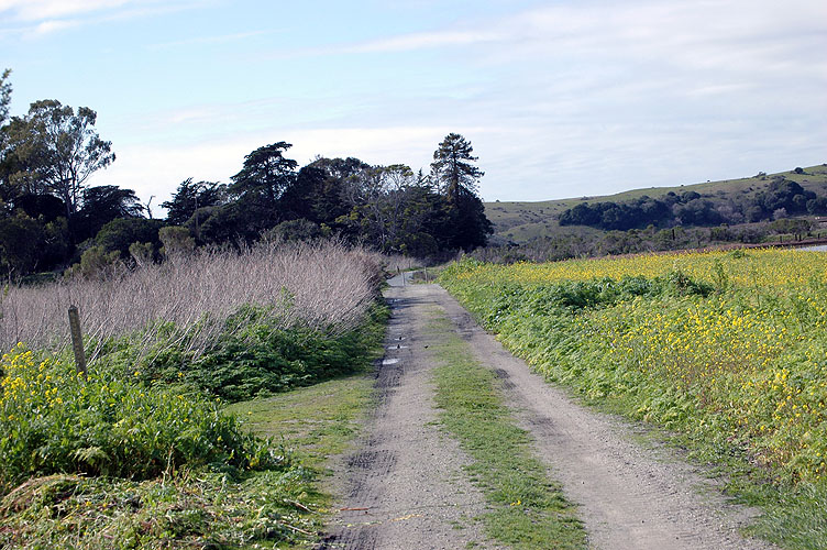 Elkhorn Slough Feb. 2010 048.jpg